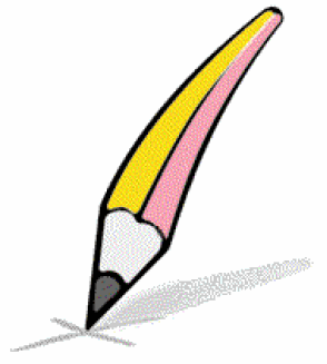 Elezioni Consigli di Quartiere 2009